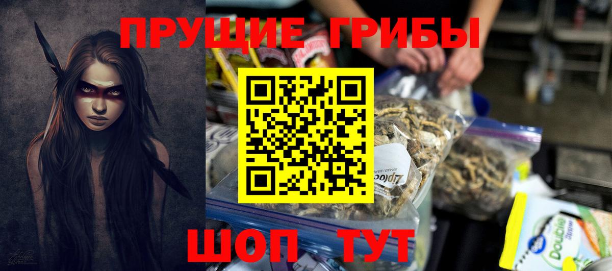 Губкин  Галлюциногенные грибы Magic Shrooms  Вход с VPN 