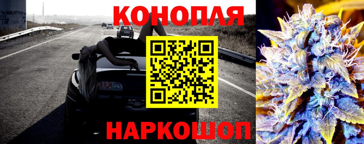 Бошки Шишки планчик Губкин